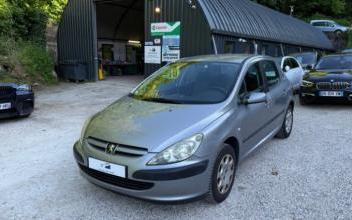 Peugeot 307 Sathonay-Camp