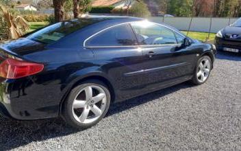 Peugeot 407 coupe Bias