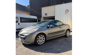 Peugeot 207 Fleury-les-Aubrais