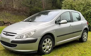 Peugeot 307 Moulins