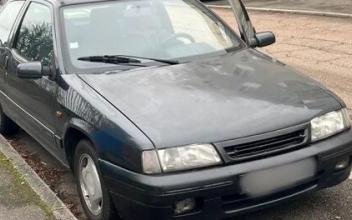 Citroen zx Chanteloup-les-Vignes