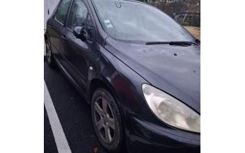 Peugeot 307 Le-Castéra