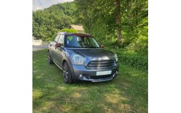 Mini countryman Samognat