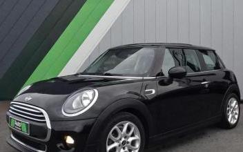 Mini Mini Jaux
