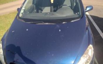 Peugeot 307 Bellou-en-Houlme