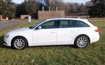 Audi A4 Bitche