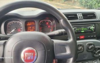 Fiat panda Lapte